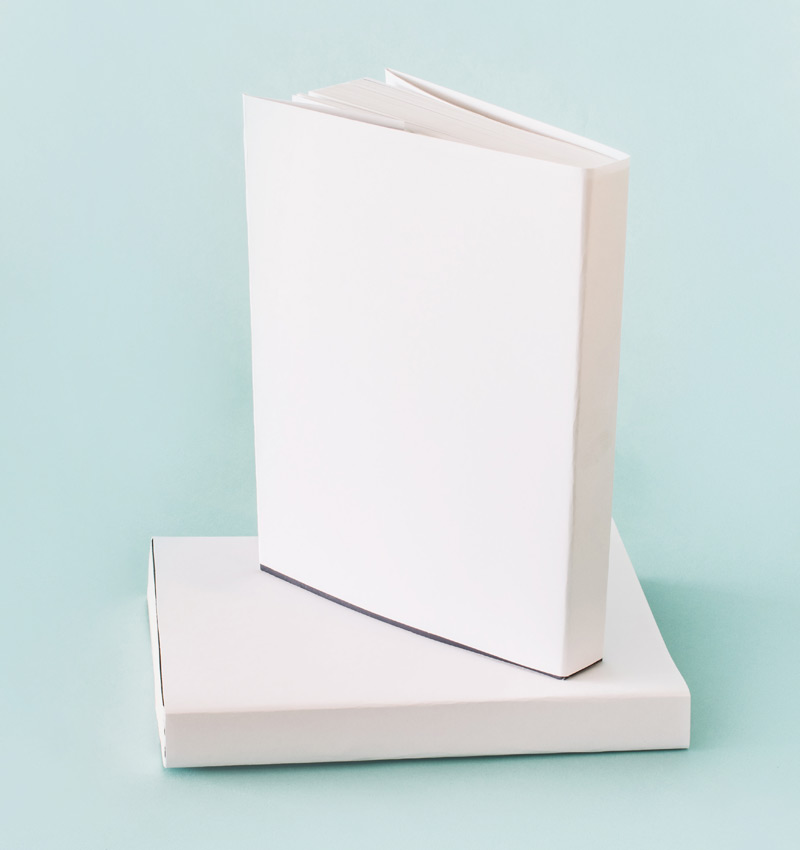 Novel Bunch Hover